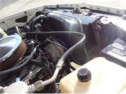 1986 Chevrolet Custom (CC-2092955) for sale in Sarasota, Florida