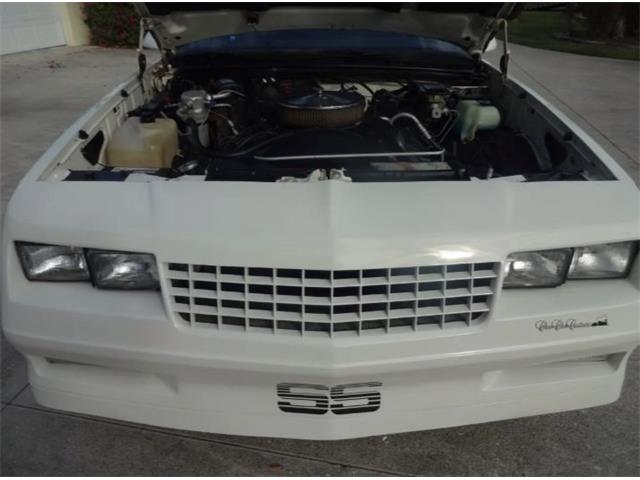 1986 Chevrolet Custom (CC-2092955) for sale in Sarasota, Florida