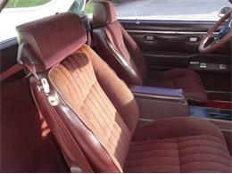 1986 Chevrolet Custom (CC-2092955) for sale in Sarasota, Florida