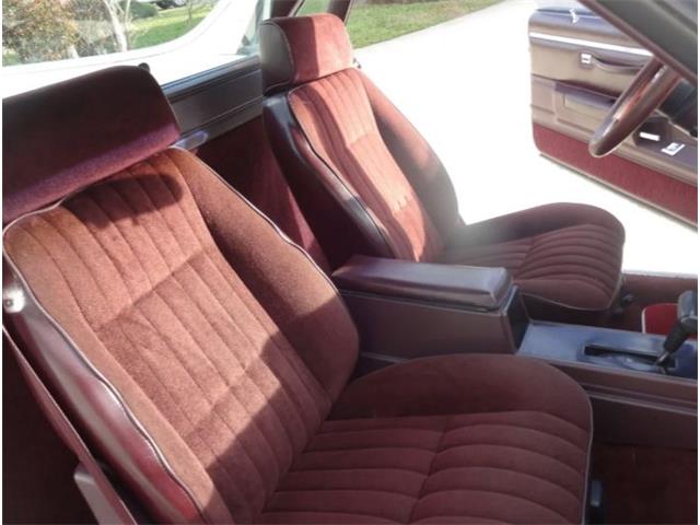 1986 Chevrolet Custom (CC-2092955) for sale in Sarasota, Florida