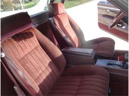 1986 Chevrolet Custom (CC-2092955) for sale in Sarasota, Florida