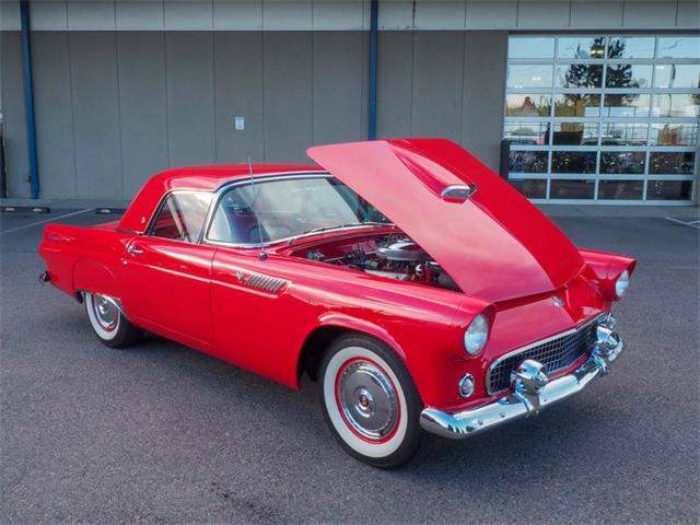 1955 Ford Thunderbird (CC-2092978) for sale in Englewood, Colorado