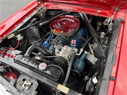 1966 Ford Mustang (CC-2093064) for sale in Paris , Kentucky
