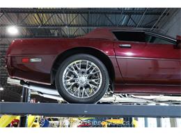 1993 Chevrolet Corvette (CC-2093110) for sale in Lutz, Florida