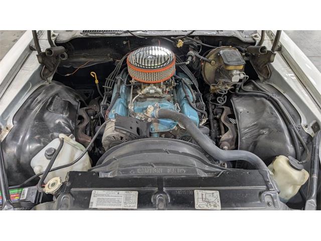 1981 Chevrolet Camaro Z28 (CC-2093116) for sale in Mankato, Minnesota