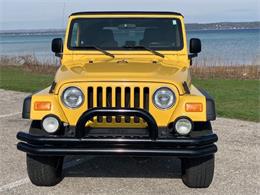 2004 Jeep Wrangler (CC-2093140) for sale in Cadillac, Michigan