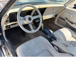 1979 Chevrolet Corvette (CC-2093158) for sale in Cadillac, Michigan