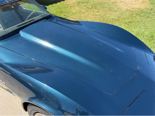 1979 Chevrolet Corvette (CC-2093158) for sale in Cadillac, Michigan