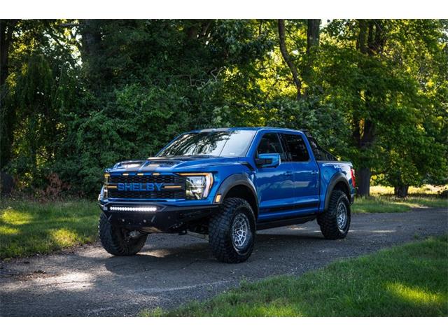 2021 Ford Raptor (CC-2093212) for sale in Green Brook, New Jersey