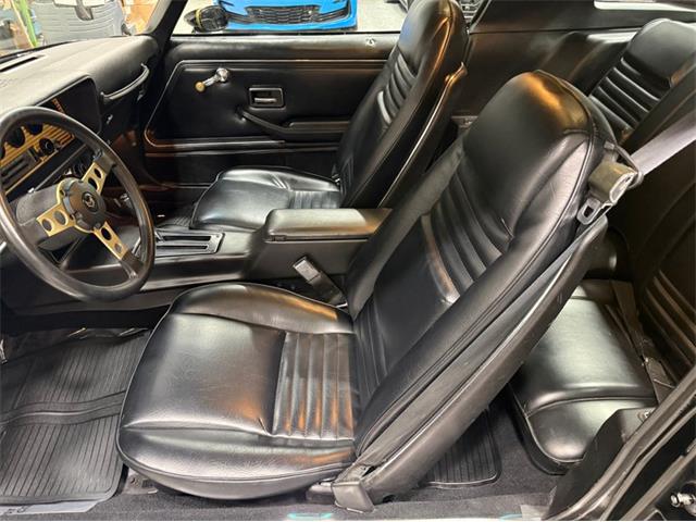 1978 Pontiac Firebird Trans Am SE (CC-2093231) for sale in Lincoln, Nebraska