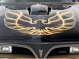 1978 Pontiac Firebird Trans Am SE (CC-2093231) for sale in Lincoln, Nebraska