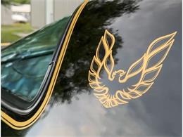 1978 Pontiac Firebird Trans Am SE (CC-2093231) for sale in Lincoln, Nebraska