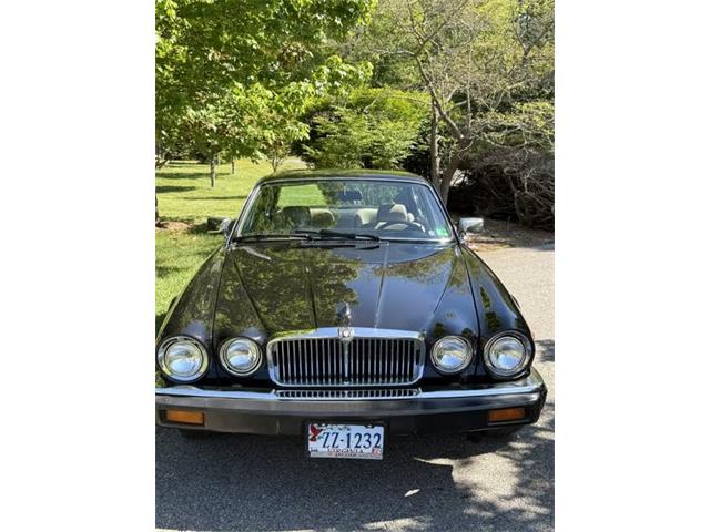 1983 Jaguar XJ (CC-2093268) for sale in Lexington, Virginia