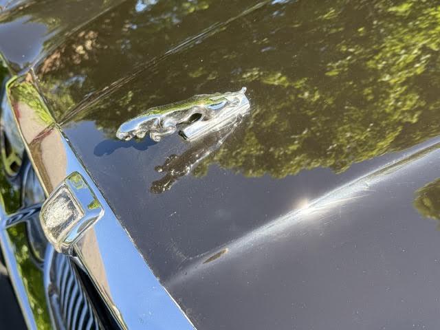 1983 Jaguar XJ (CC-2093268) for sale in Lexington, Virginia