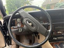 1983 Jaguar XJ (CC-2093268) for sale in Lexington, Virginia