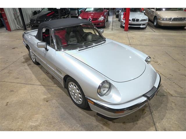 1987 Alfa Romeo Spider Quadrifoglio (CC-2090328) for sale in Kentwood, Michigan