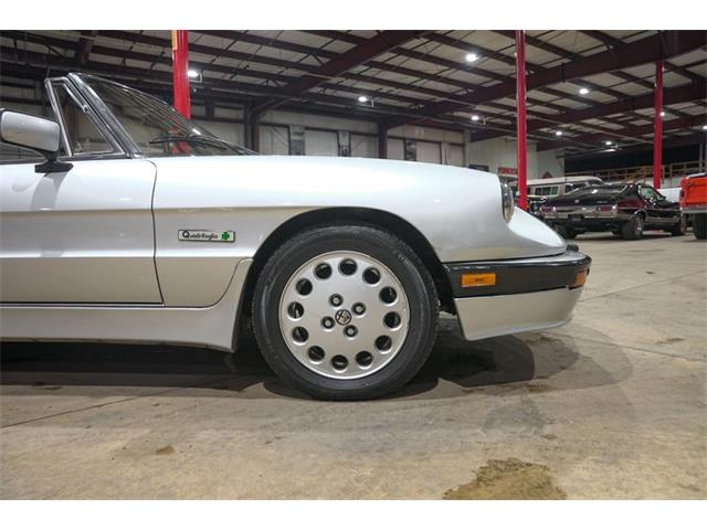 1987 Alfa Romeo Spider Quadrifoglio (CC-2090328) for sale in Kentwood, Michigan