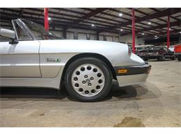 1987 Alfa Romeo Spider Quadrifoglio (CC-2090328) for sale in Kentwood, Michigan