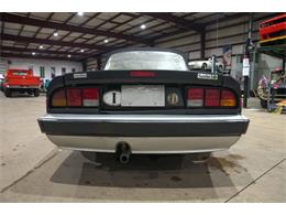 1987 Alfa Romeo Spider Quadrifoglio (CC-2090328) for sale in Kentwood, Michigan