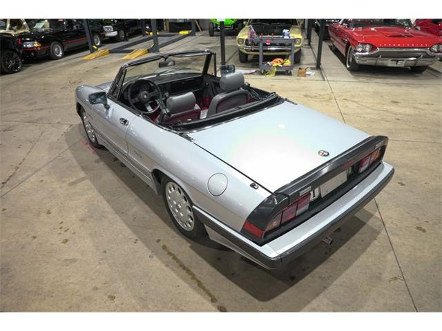 1987 Alfa Romeo Spider Quadrifoglio (CC-2090328) for sale in Kentwood, Michigan