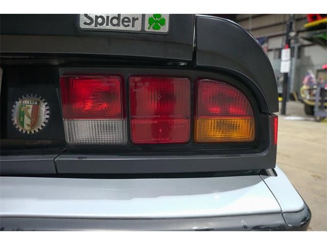 1987 Alfa Romeo Spider Quadrifoglio (CC-2090328) for sale in Kentwood, Michigan