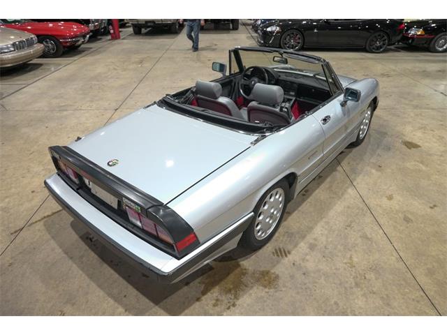 1987 Alfa Romeo Spider Quadrifoglio (CC-2090328) for sale in Kentwood, Michigan