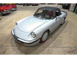 1987 Alfa Romeo Spider Quadrifoglio (CC-2090328) for sale in Kentwood, Michigan