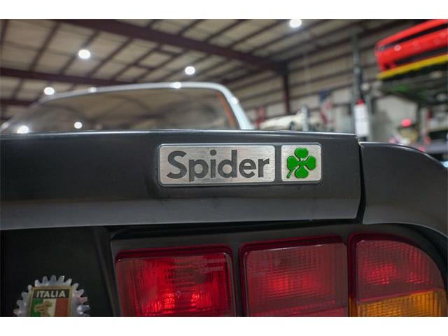 1987 Alfa Romeo Spider Quadrifoglio (CC-2090328) for sale in Kentwood, Michigan