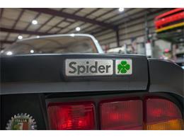 1987 Alfa Romeo Spider Quadrifoglio (CC-2090328) for sale in Kentwood, Michigan