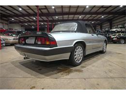 1987 Alfa Romeo Spider Quadrifoglio (CC-2090328) for sale in Kentwood, Michigan