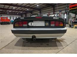 1987 Alfa Romeo Spider Quadrifoglio (CC-2090328) for sale in Kentwood, Michigan