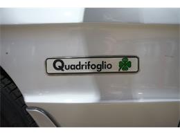 1987 Alfa Romeo Spider Quadrifoglio (CC-2090328) for sale in Kentwood, Michigan