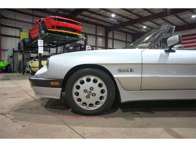 1987 Alfa Romeo Spider Quadrifoglio (CC-2090328) for sale in Kentwood, Michigan