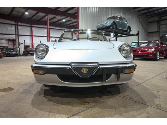 1987 Alfa Romeo Spider Quadrifoglio (CC-2090328) for sale in Kentwood, Michigan