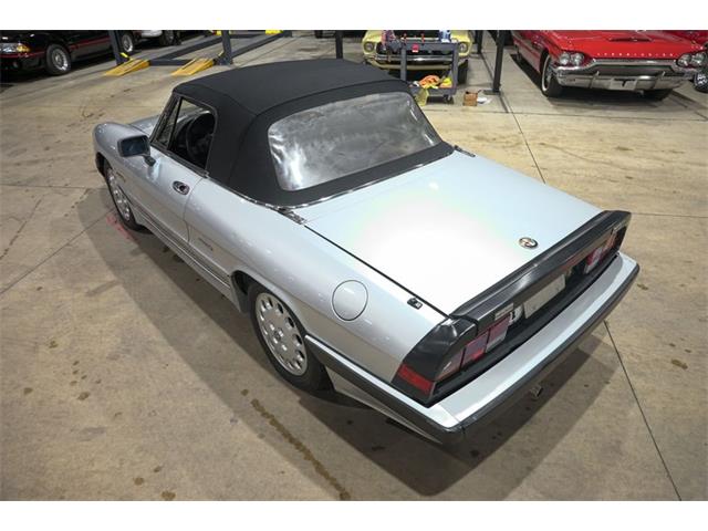1987 Alfa Romeo Spider Quadrifoglio (CC-2090328) for sale in Kentwood, Michigan
