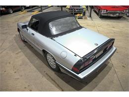 1987 Alfa Romeo Spider Quadrifoglio (CC-2090328) for sale in Kentwood, Michigan