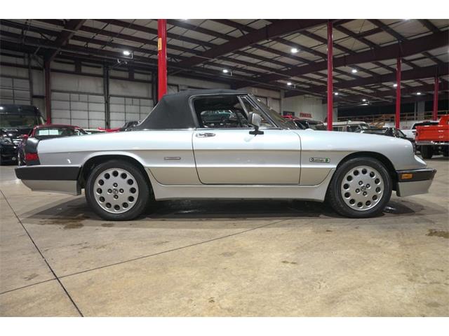 1987 Alfa Romeo Spider Quadrifoglio (CC-2090328) for sale in Kentwood, Michigan