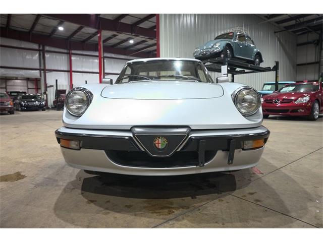 1987 Alfa Romeo Spider Quadrifoglio (CC-2090328) for sale in Kentwood, Michigan