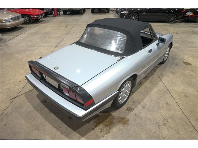 1987 Alfa Romeo Spider Quadrifoglio (CC-2090328) for sale in Kentwood, Michigan