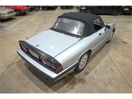 1987 Alfa Romeo Spider Quadrifoglio (CC-2090328) for sale in Kentwood, Michigan