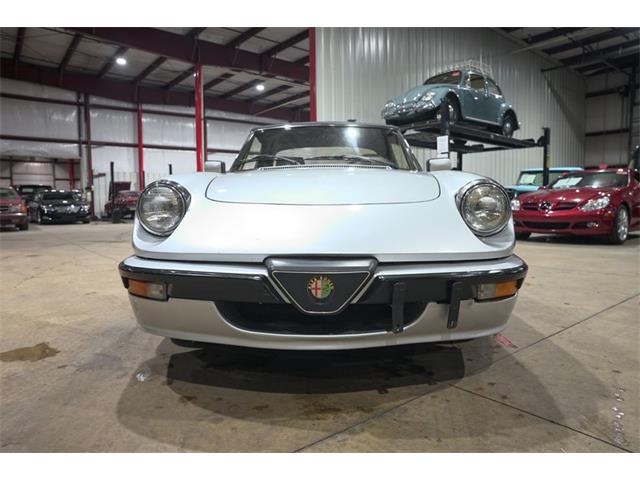 1987 Alfa Romeo Spider Quadrifoglio (CC-2090328) for sale in Kentwood, Michigan