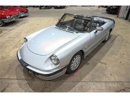 1987 Alfa Romeo Spider Quadrifoglio (CC-2090328) for sale in Kentwood, Michigan
