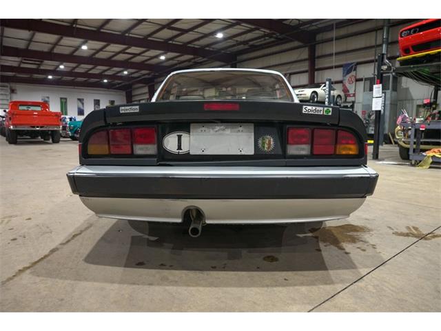 1987 Alfa Romeo Spider Quadrifoglio (CC-2090328) for sale in Kentwood, Michigan
