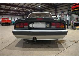 1987 Alfa Romeo Spider Quadrifoglio (CC-2090328) for sale in Kentwood, Michigan