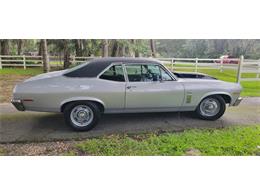1972 Chevrolet Nova (CC-2093282) for sale in Green Cove Springs, Florida