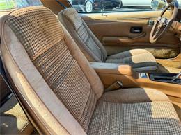 1979 Pontiac Firebird Trans Am (CC-2093289) for sale in Centerville, Indiana