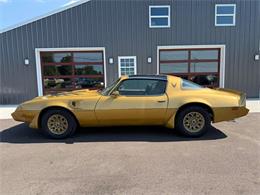 1979 Pontiac Firebird Trans Am (CC-2093289) for sale in Centerville, Indiana