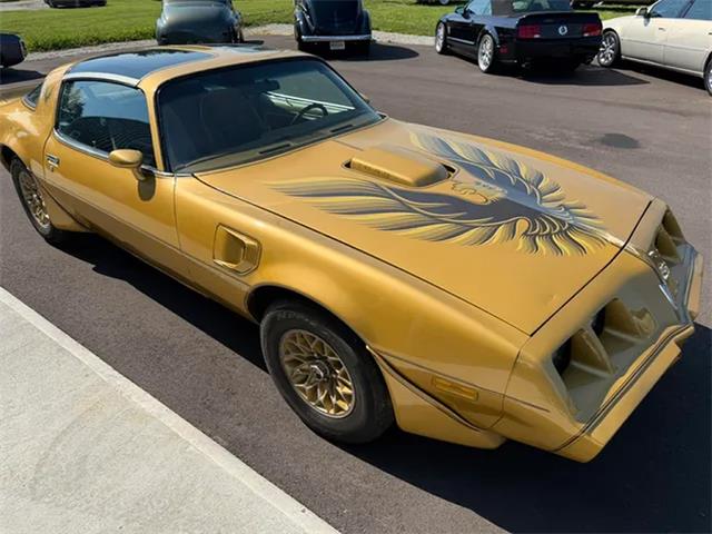 1979 Pontiac Firebird Trans Am (CC-2093289) for sale in Centerville, Indiana