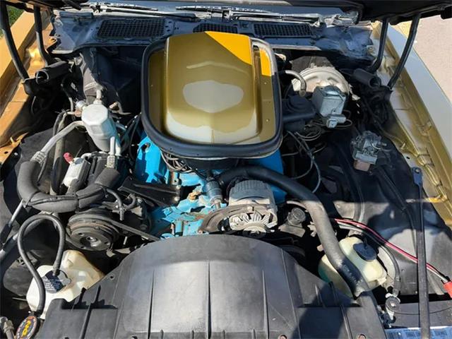 1979 Pontiac Firebird Trans Am (CC-2093289) for sale in Centerville, Indiana
