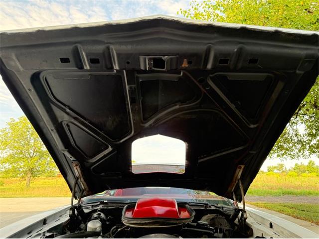 1978 Pontiac Firebird Trans Am (CC-2093323) for sale in Lincoln, Nebraska